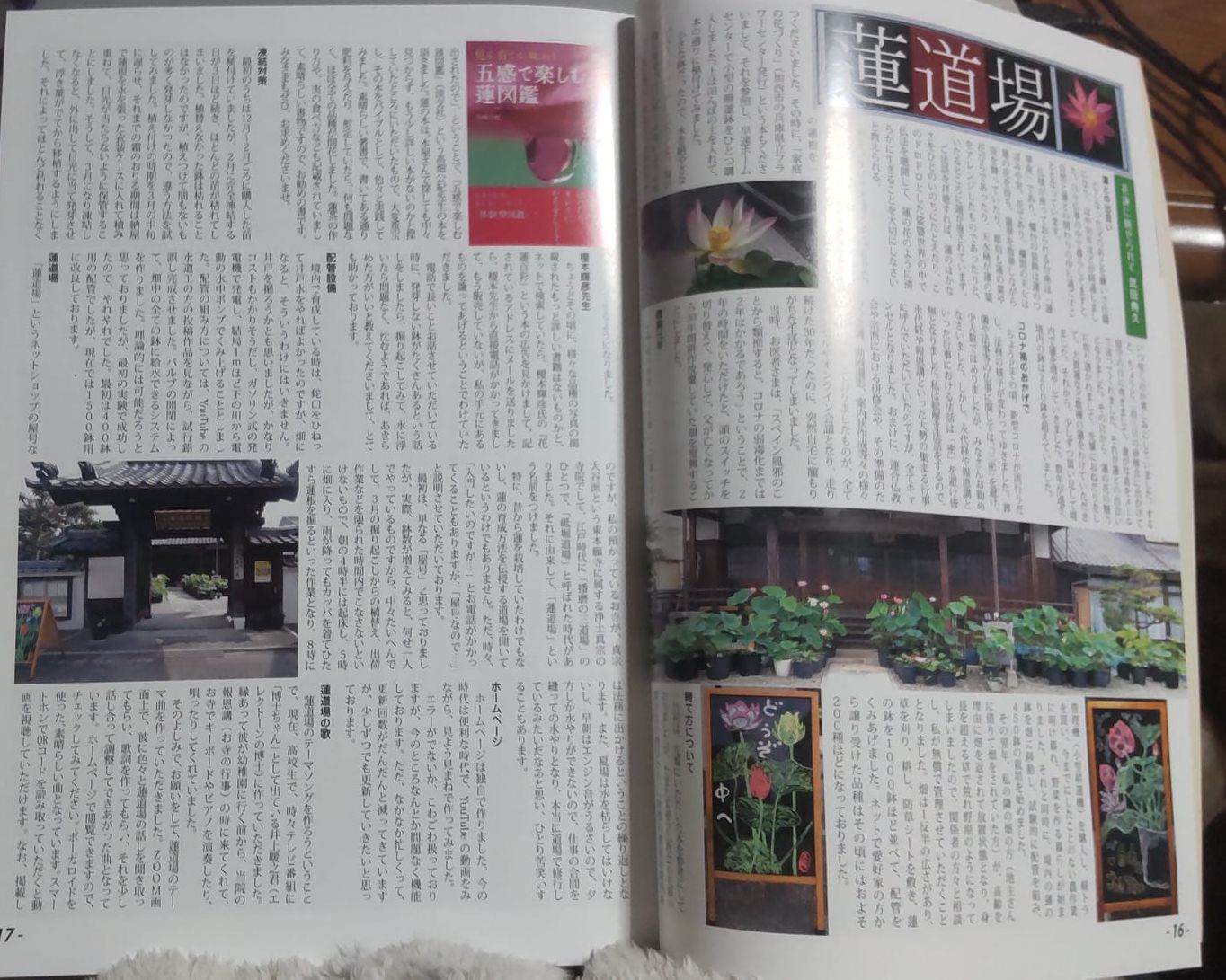 「蓮に笑み」掲載記事2