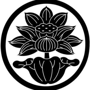 上海粉（しゃんはいふん）桃・一重・大型・中国