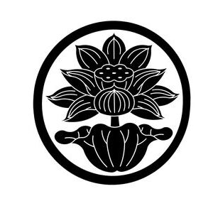 南米白（なんべいしろ）白・一重・大型